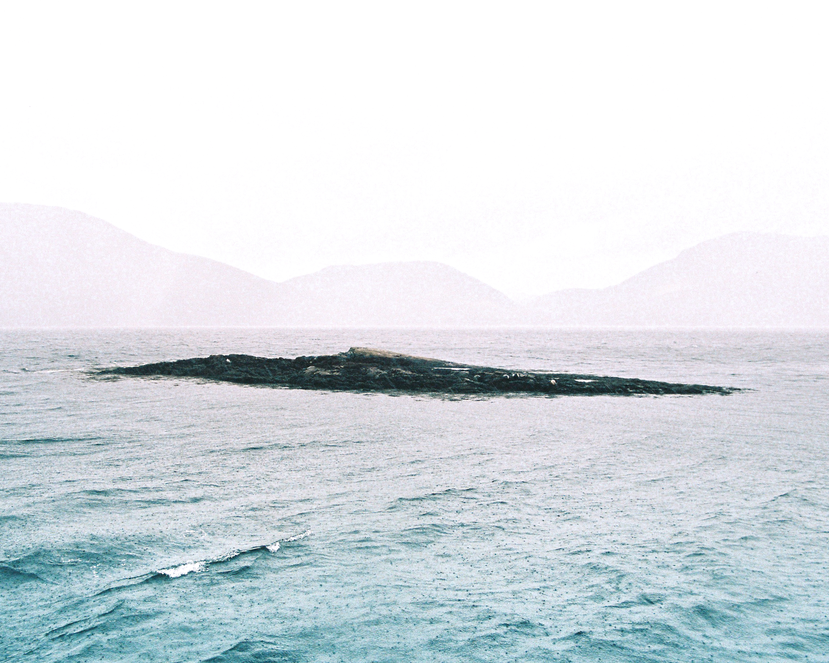 Scotland Island